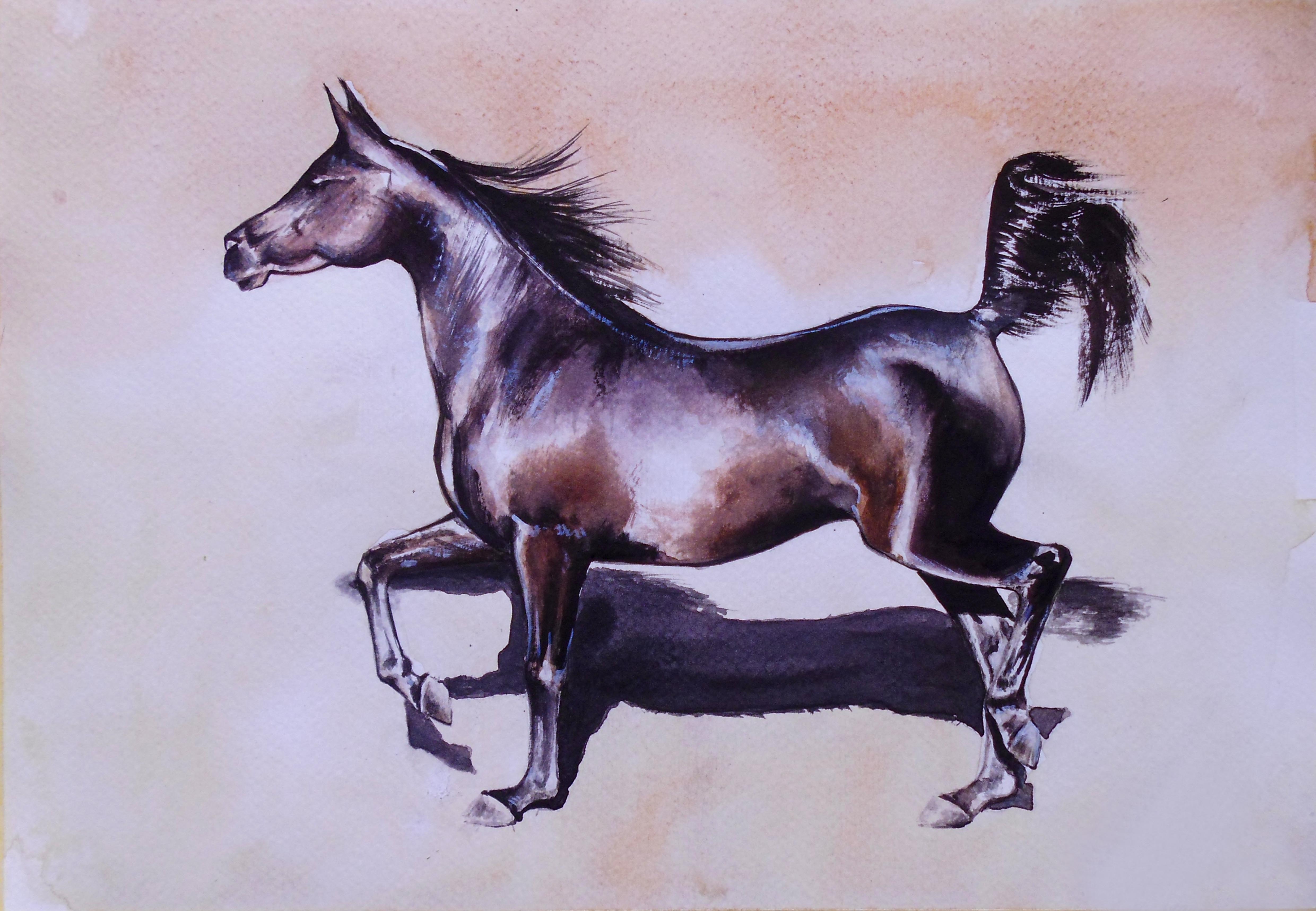 O pictura realizata in cafea, ce ilustreaza un cal